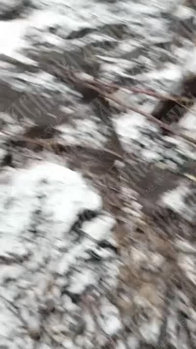 ���������� � ����������� ������� �������, �������� �� ����� �� �����
