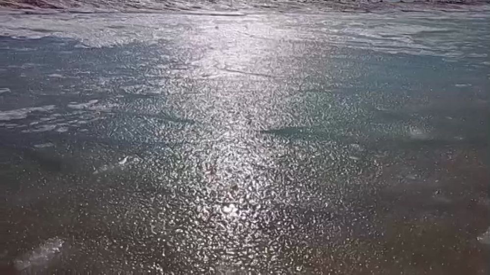 ������� ������ �� �������