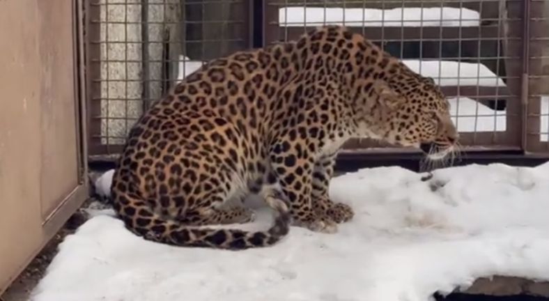 � ���� �� ����������� ������� �������� ��������� �������� � ����