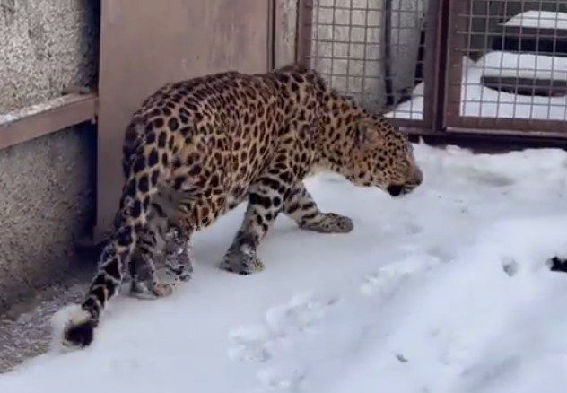 � ���� �� ������������ ���� ������������ ����� ��������� �������� � ����� ����