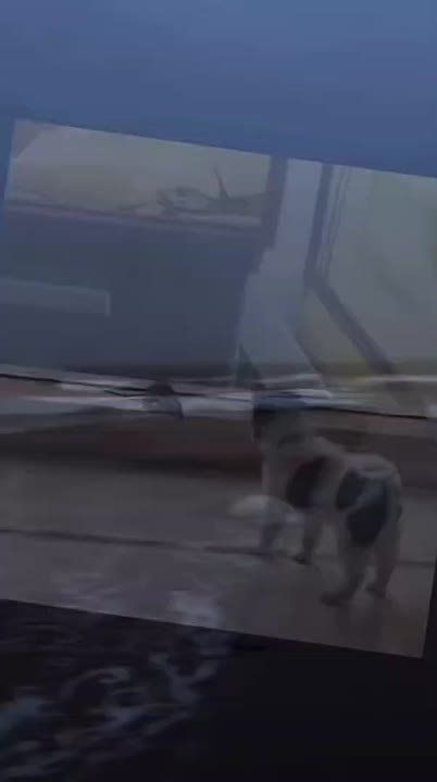 ����� ����, ���� �����.... ������ �� ����������!