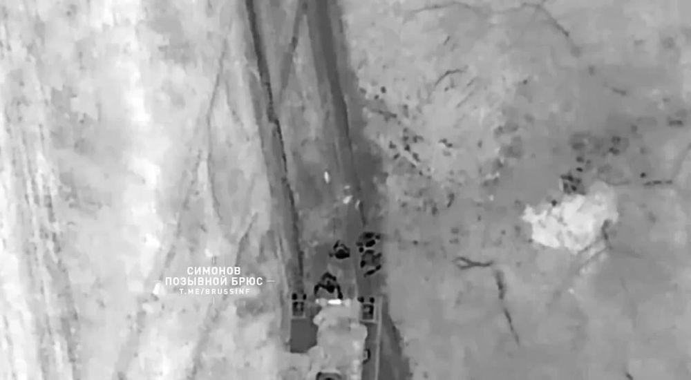 ��������� ����� 1-� �������� ����� "�����������" ������ ���������� ��������, ��������� �� ��������� ������� �� ��������� �����������