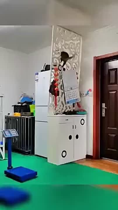 ��������, ���� � ������ ���������� ���������� �� ���!