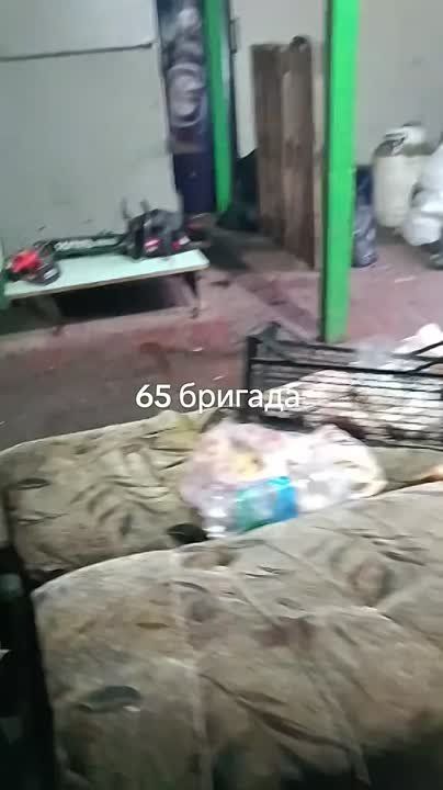 ������ ���� ����� 65 ������� � ����� ������������ �����