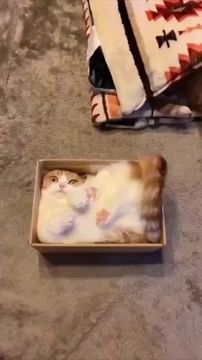 �������� ������ � ��������� ��������� ������� �����