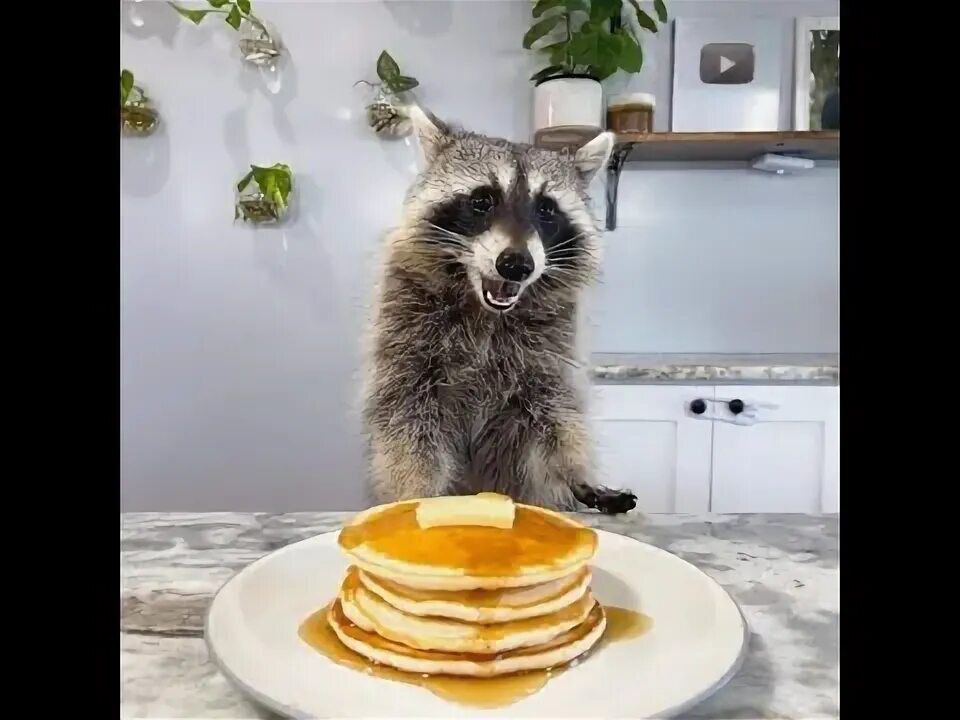 ������ ����, ������! �������� ��� ��� � ��������� ����������!