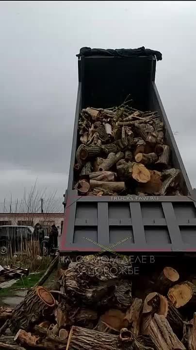 "������� �� �����", ������ ����� ���� ����������� �� ������� ������ � ���������� ����� ���� �����!