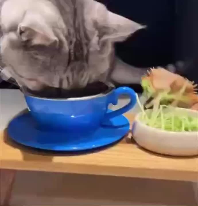 ���������� � ��������� ����� ����!