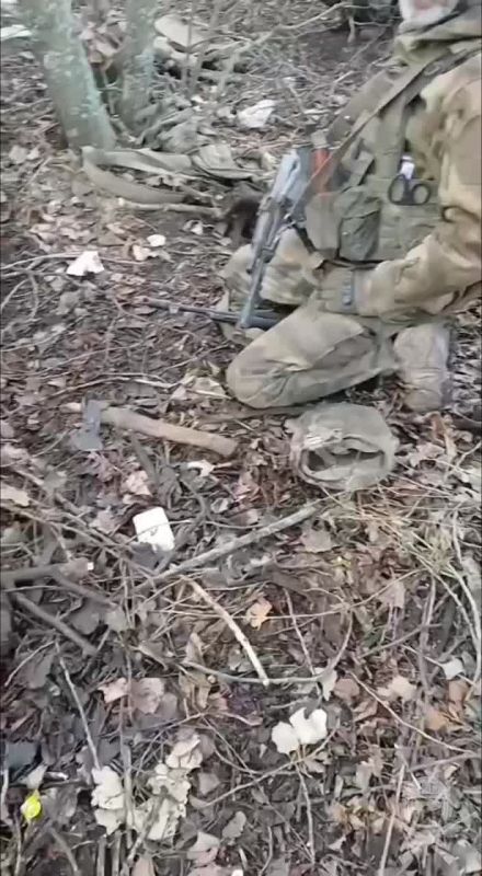 ����� ������� ������ ���������� ������ �� ������� �����������