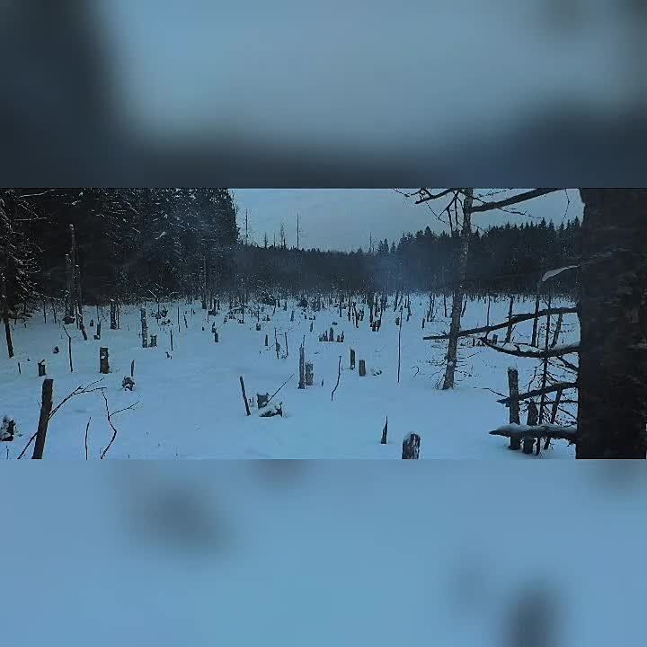 �� ��� ������ � ������ ������ ����� � ������, ����������� �� ����� ���� �������