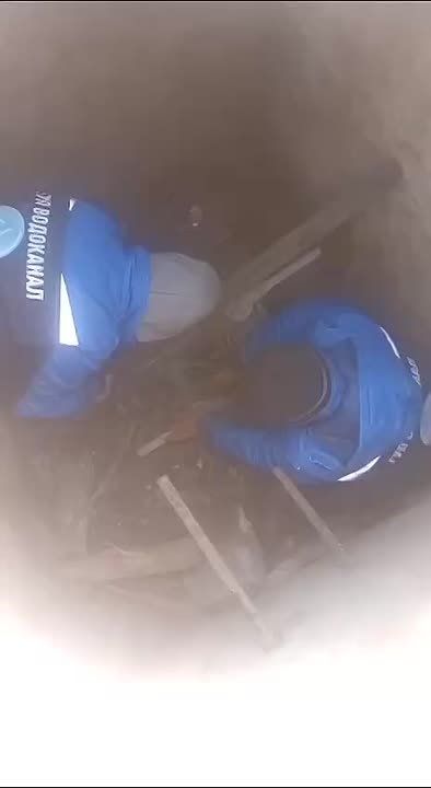��������� ������� ������-����������� ���������� ���������� ������ � ������������ ��