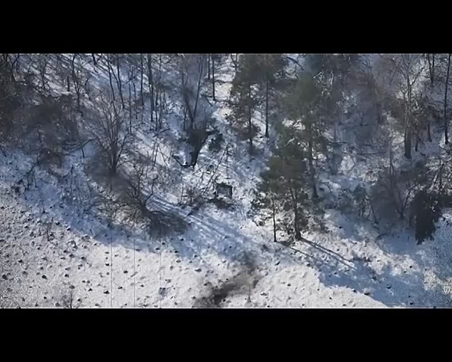 ������� FPV 41 ��� 72 ��� 44 �� � ����������� ������� ���������� ��������� � ��������� ������� ���
