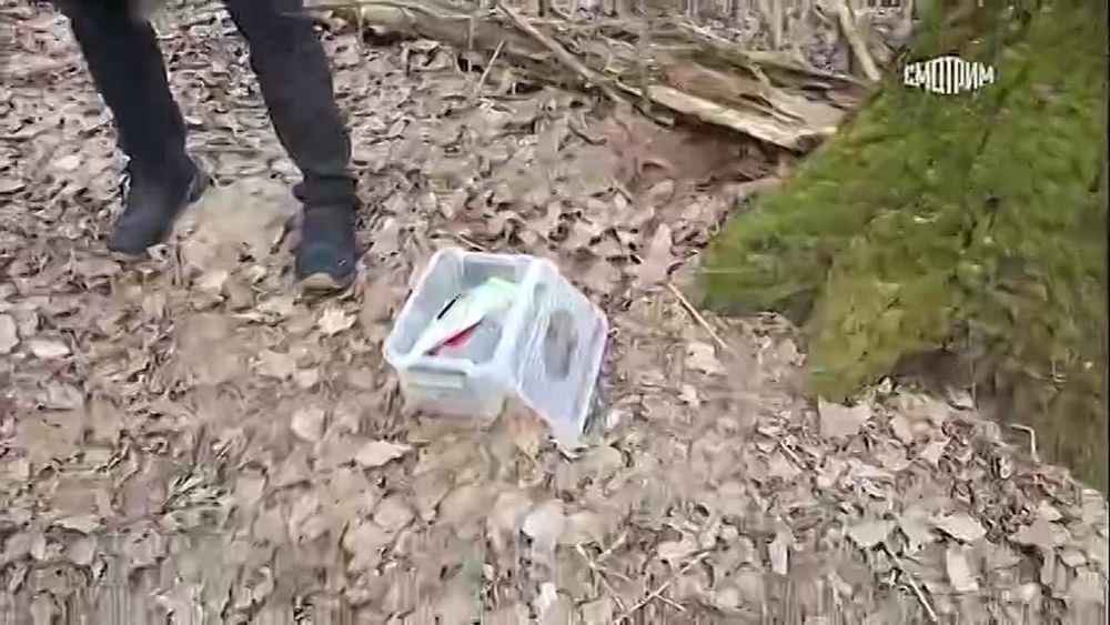 �������� �����: �������� ����������� - �����������