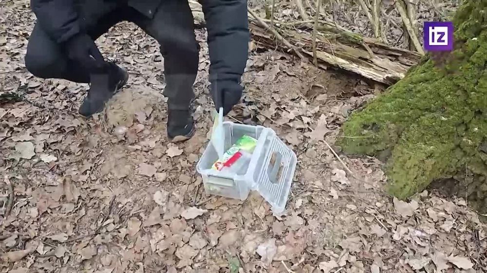 ��� ������ ������������� � ������ ������ � ��������� ����������� ������ (���������), ������������ ������� ��������� �������