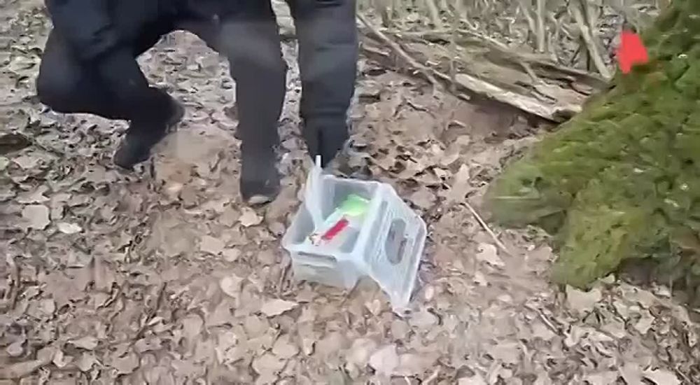 ��� ������������� ������ �������� ������� ������ ��������� ����������� ������ � ������: