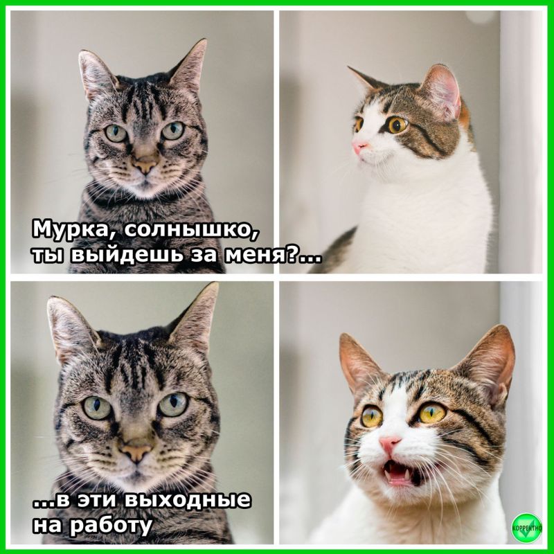 ���������������� ��������� � �����