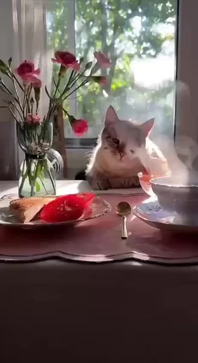��� � ��������� ������������ �����!