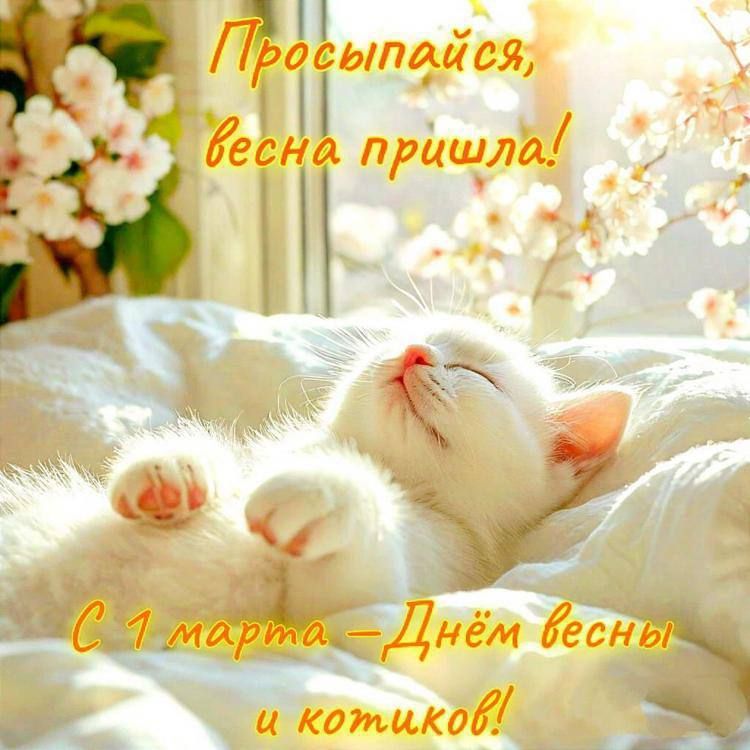 � ���� �������!. 1 ����� � ����, ����� �� �������� ����� ��������, �������� � ���������� ����� ������. ������ �� ������, ����� � extra ������ ���������! #����������� #���� #��������������� #�����