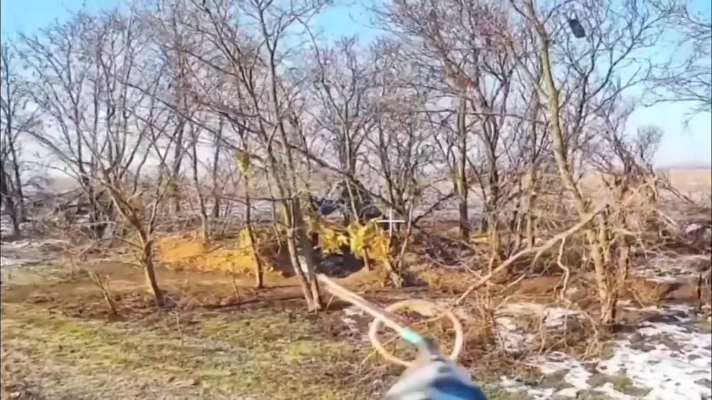 ������� �������: � ������������ �������� �����, ������! ������ ����� ��������, �� �� ������