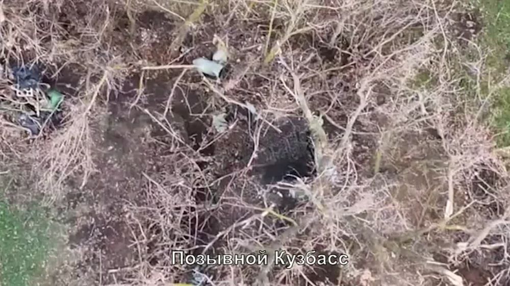 ����������� �����������. �������� ����� ��������� "������" ��������� ��������������� ������� �����