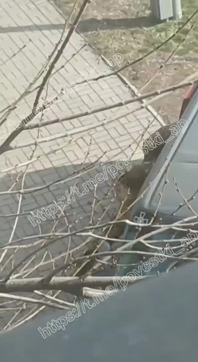 � ������ ��������� �������� ������� � ������� ����������� ����� � ���