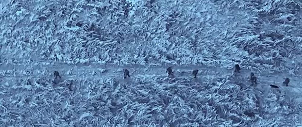 "ГЕРОЯМИ СТАВШИЕ" - СТРЕЛКИН, ОЛЕГ ГАЗМАНОВ