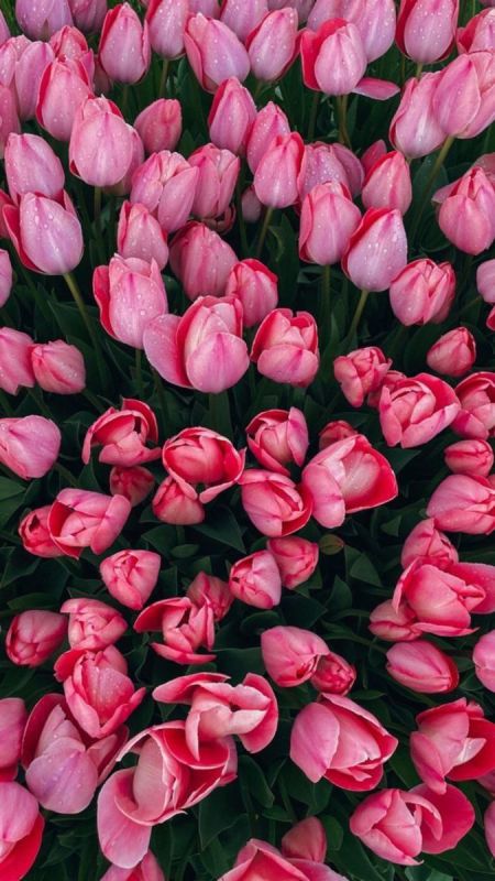 В обществе принято считать, что женщина — слабый пол, который без помощи мужчин прожить не сможет