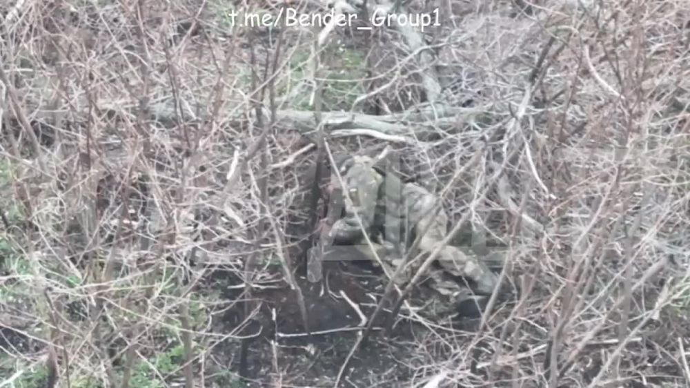 ������� �������: ���� ��������� ������ ��� ������������ ����� ���������� �� ������, ��� ������� �������