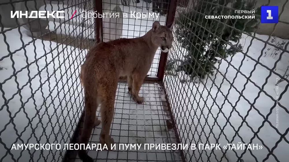 ��������� �������� � ���� ������������ �� ����������� ������� � ������-���� ��������