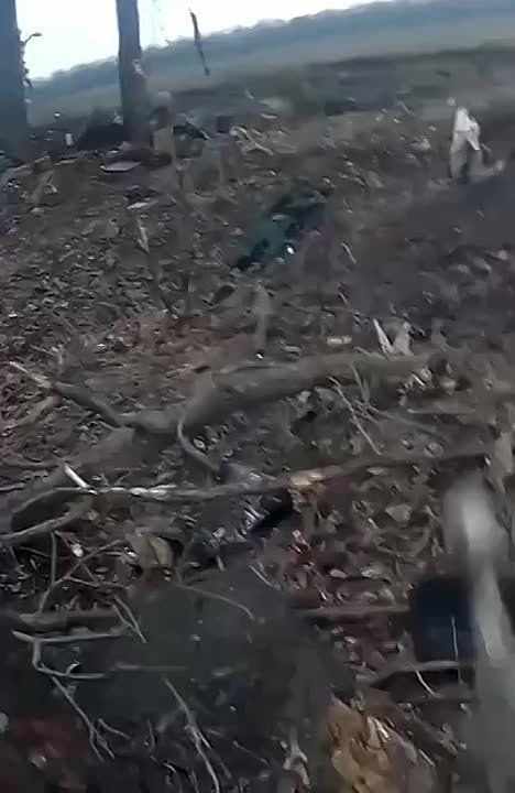 ���������� ����� �������� ������������� �� �������� ���