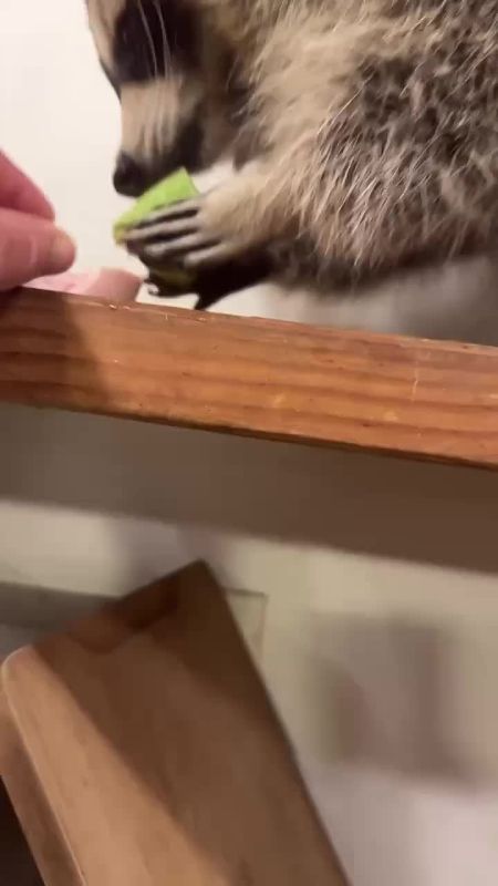 ������ ����, ������! �������� ��� ��� � ��������� ����������!