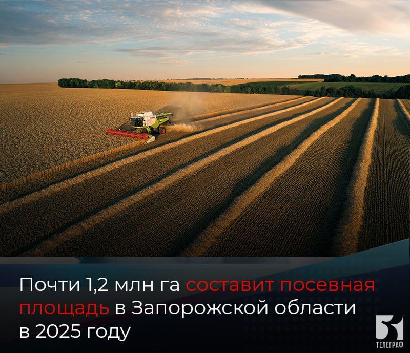 ����� 1,2 ��� �� �������� �������� ������� � ����������� ������� � 2025 ����