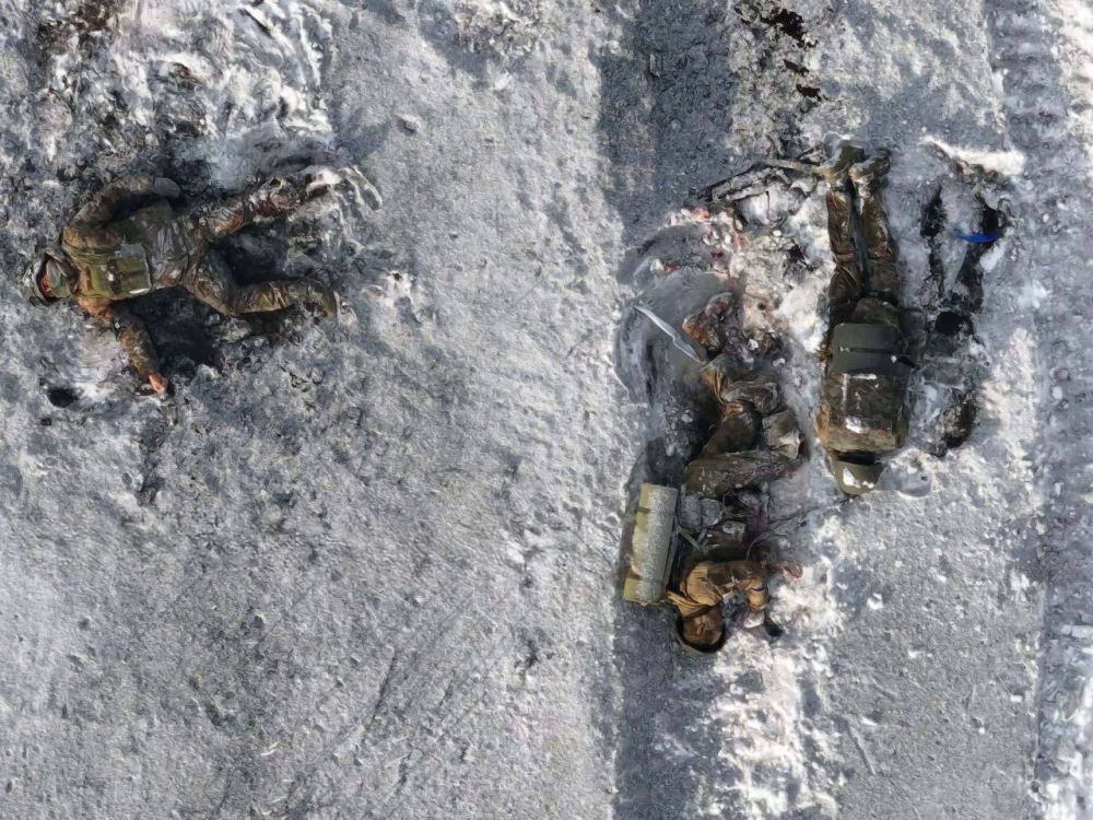 ��������� ������ ��������� ��������� ������������ �����