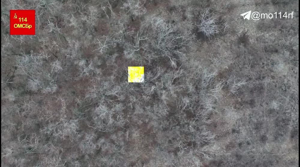 ��������� � ��� ����������� ������� ������