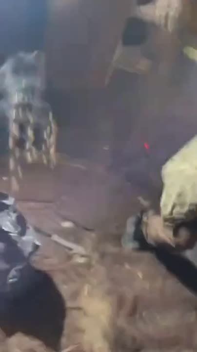 ��� ��� ���������� ������� ������ ����� � ����������� �������