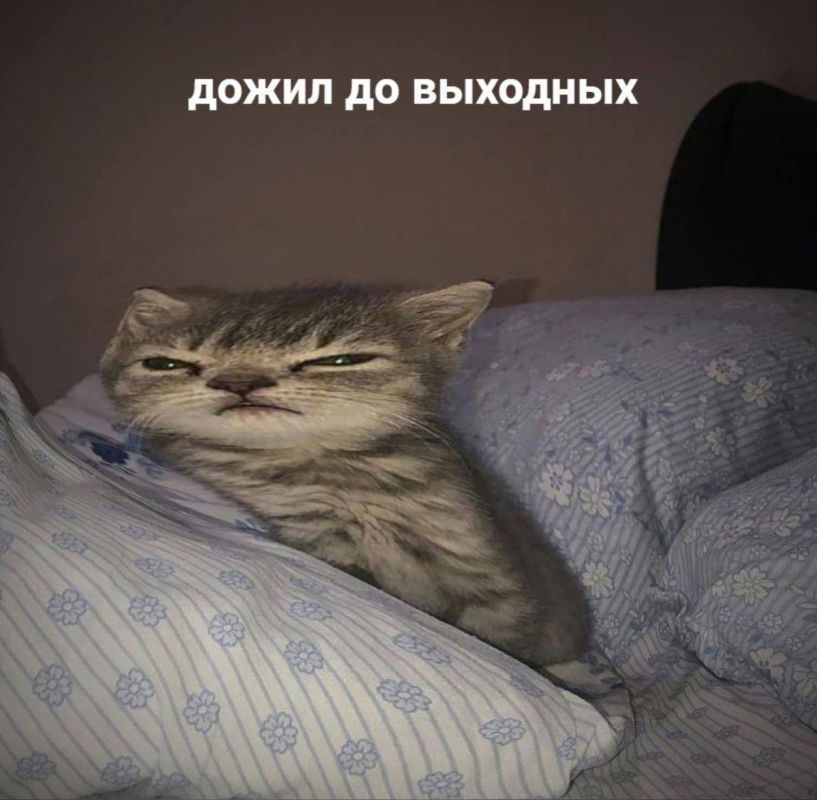 �������� � �����������. ������ ����� �������� ���� � ��������� (�������� ����������)