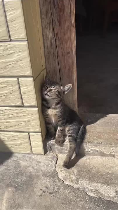 ������ ����, ����������� �������!
