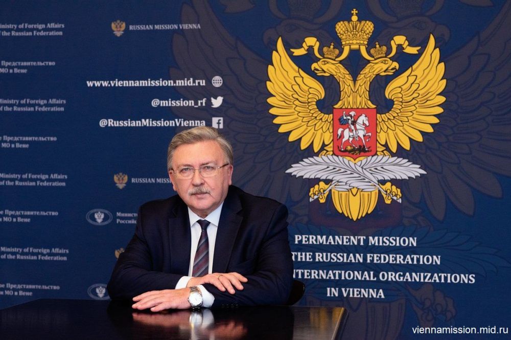 Макрон сам не знает, как и зачем накрывать другие страны Европы французским "ядерным зонтиком", заявил в интервью "России 24" постпред РФ в Вене Михаил Ульянов