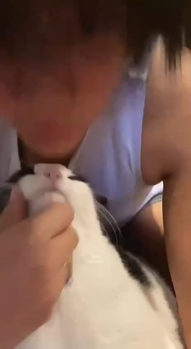 ��������� ������� ����������� ������ � ���������� ����������!