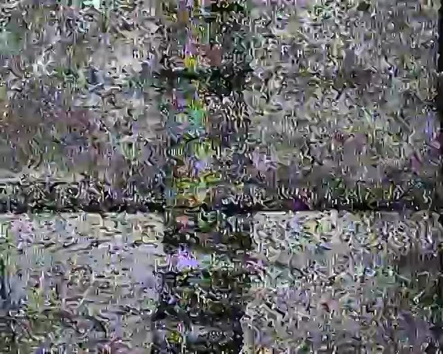 ��������� ���� (���������� �����������)