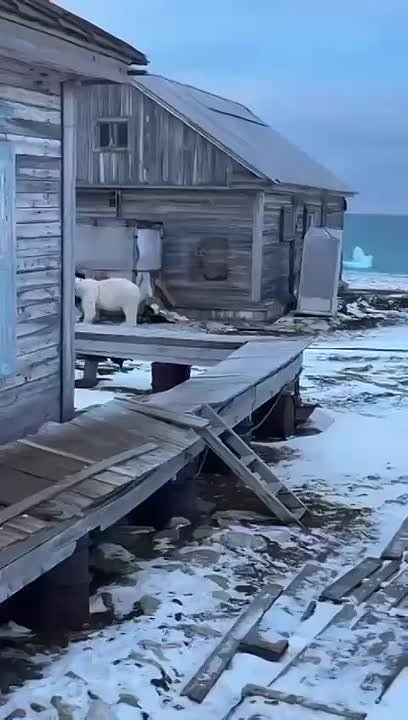� �������� ��������� �� ���������