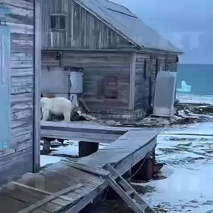 "����� ������ �����!"