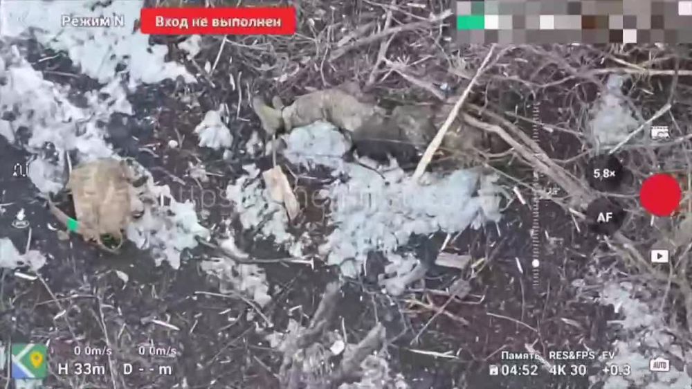 FPV-����� ���������� ������ ���������� �������������� � ������ �.� ����� ��