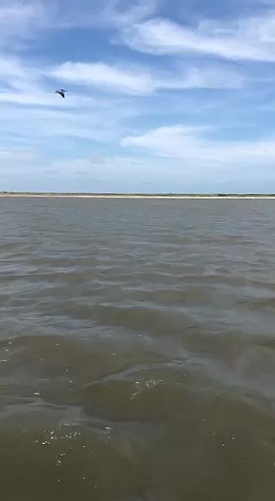 �������, �������� ������, ��� ���� ������ ����, � ������ ���������� ������
