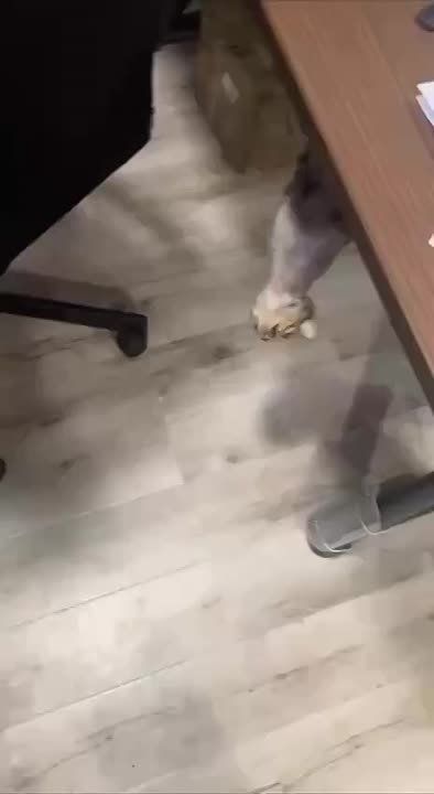 �������, �� ����� ������ ����� ��������� ��� ��������� �����