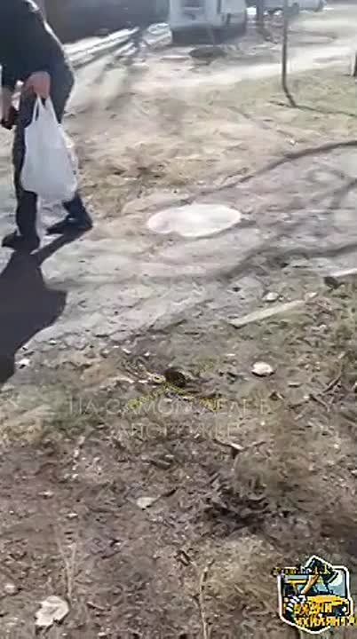 "��*���! ������ ������, ���": ���������� ��������� ������ ����� �� �����������