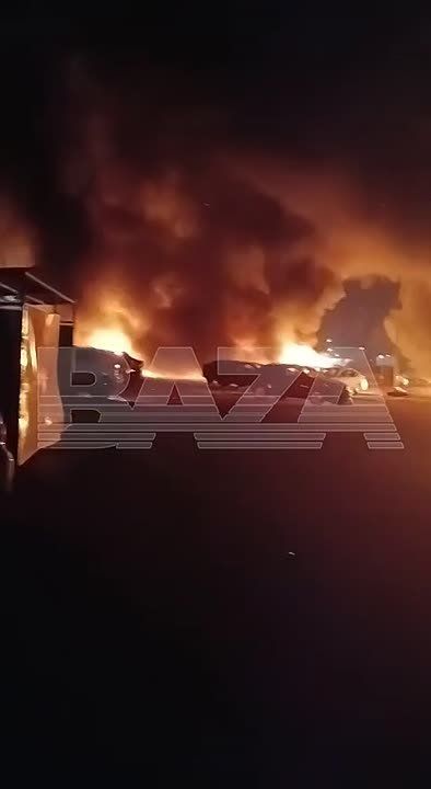 �������� �����: ������� ����� ������� �� �������� ����������� ���������� � ���������� ����� ����� ��������� �������������
