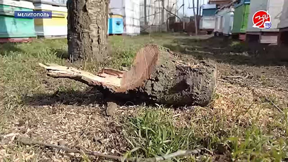 � ������ ���������� ������������ ��������� � ����������� �������?