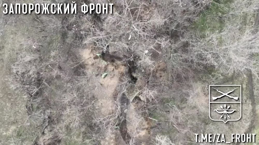 ����������� ������ ��� �� ����������� ����������� �������� ���������� ��������������� �����