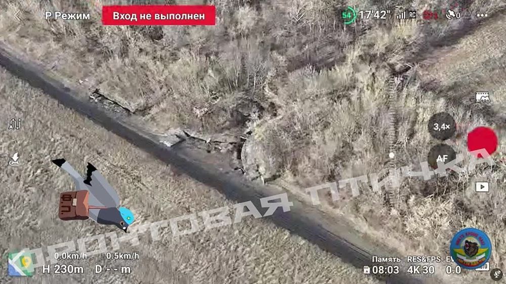 �������� FPV-������� �� ��������� ��������� � ������� �������